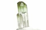 Bi-Colored Elbaite Tourmaline Crystal - Rubaya, Congo #206883-1